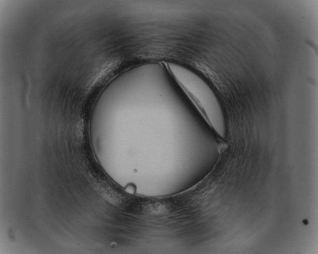 X0000091450735200709131715