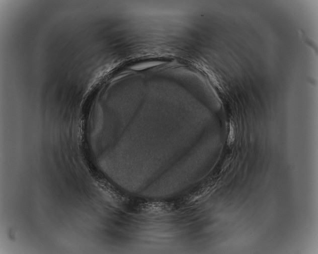 X0000091450736200709131715