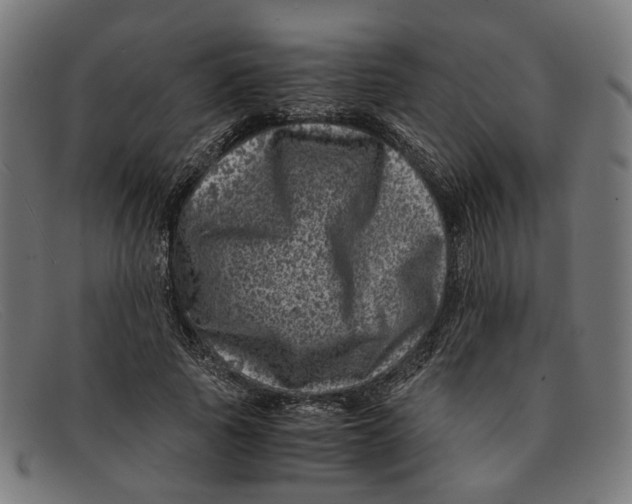 X0000091450737200709131715