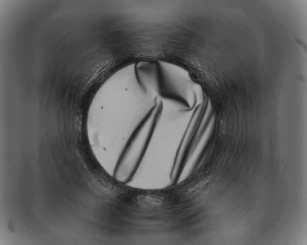 X0000091450739200709131715