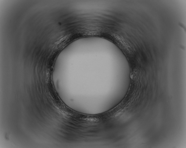 X0000091450741200709131715