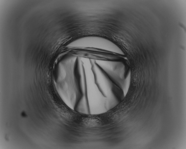 X0000091450743200709131715