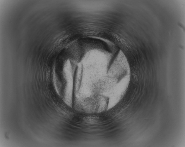 X0000091450745200709131715