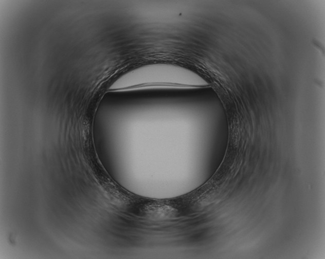X0000091450747200709131715