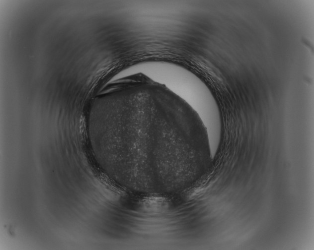 X0000091450748200709131715