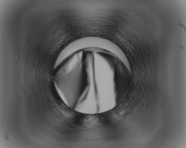 X0000091450750200709131715