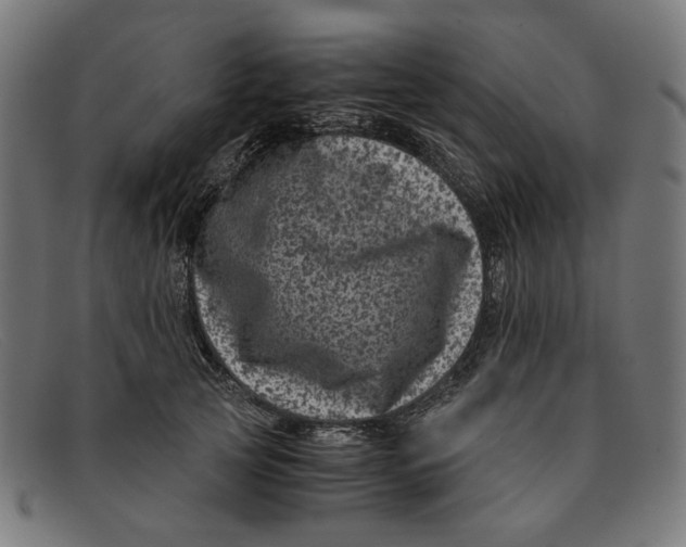 X0000091450753200709131715