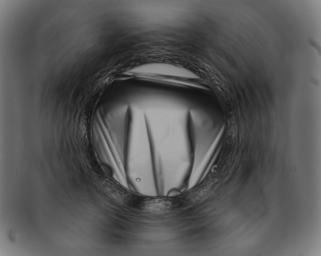 X0000091450754200709131715