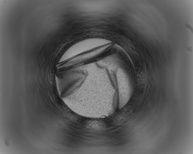X0000091450755200709131715