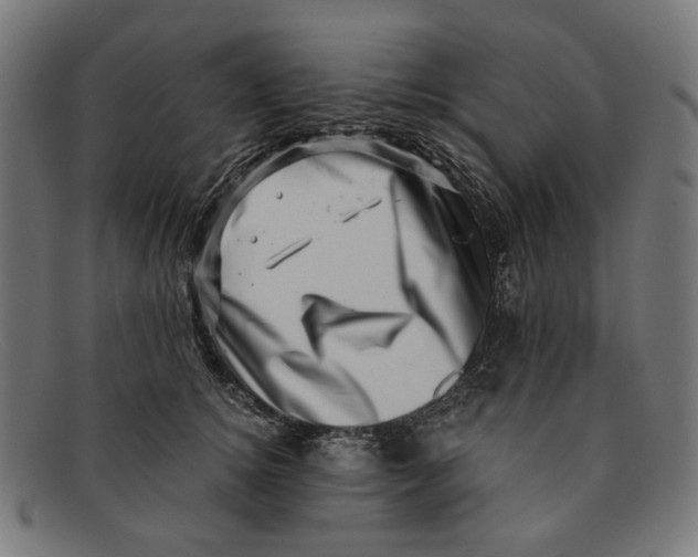 X0000091450756200709131715