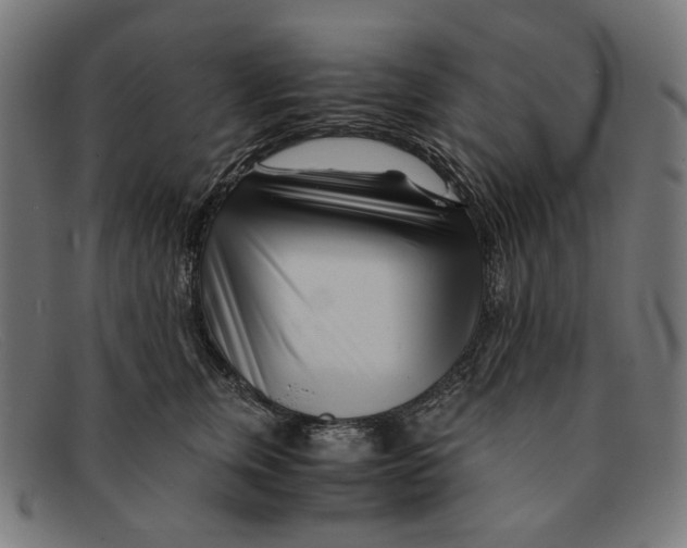 X0000091450759200709131715