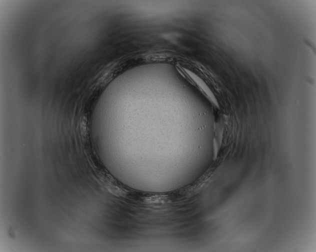 X0000091450761200709131715