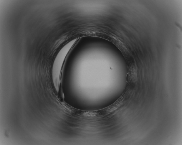 X0000091450762200709131715