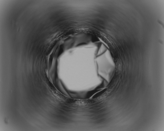 X0000091450764200709131715