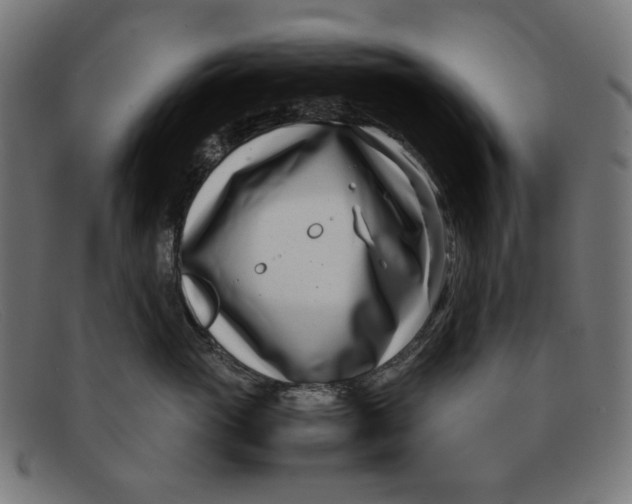 X0000091450765200709131715