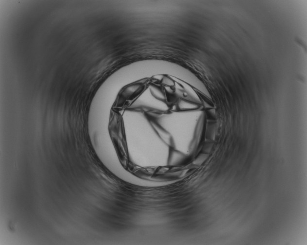 X0000091450766200709131715