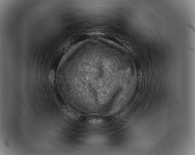 X0000091450767200709131715