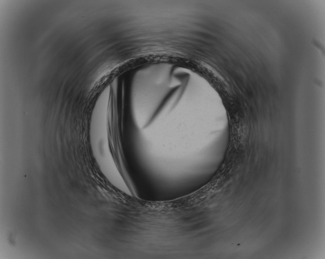 X0000091450775200709131714