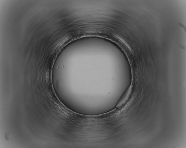 X0000091450777200709131714