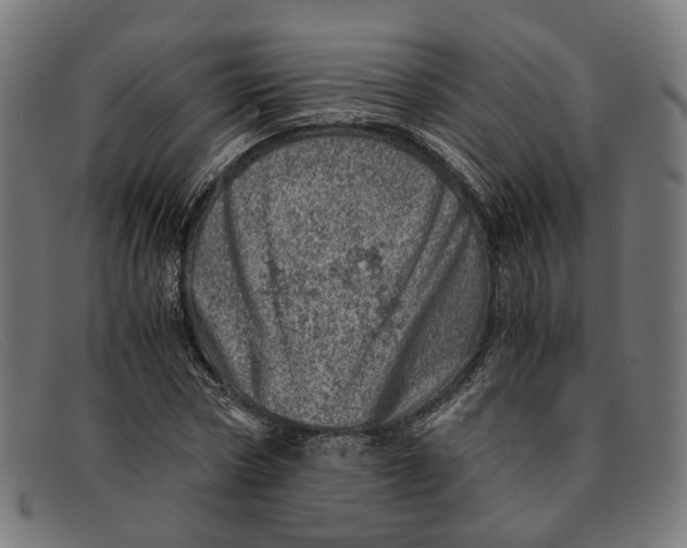 X0000091450778200709131714
