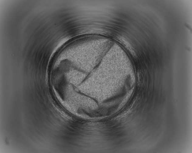 X0000091450780200709131714
