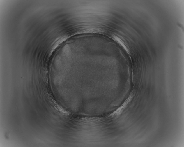 X0000091450781200709131714