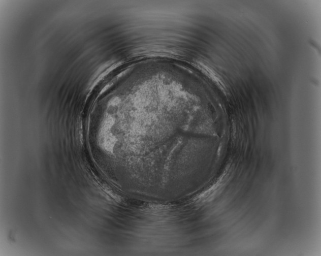 X0000091450782200709131714