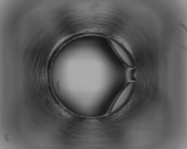 X0000091450784200709131714