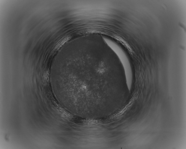 X0000091450785200709131714