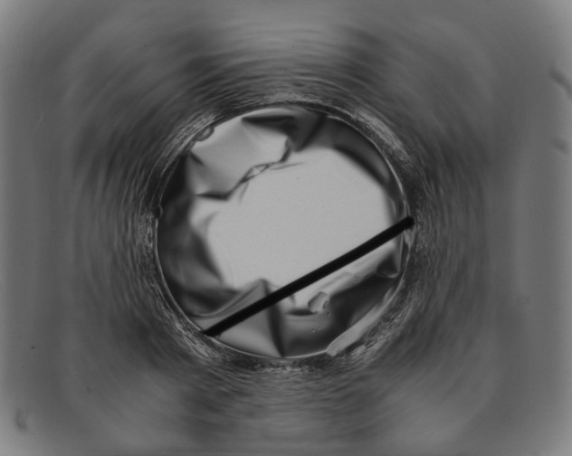 X0000091450793200709131714
