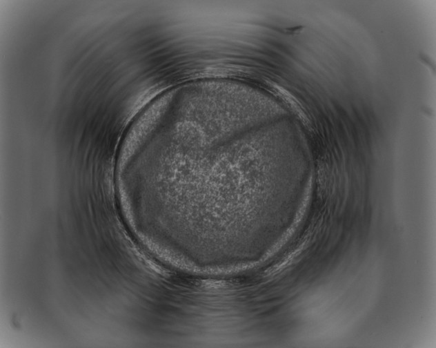 X0000091450794200709131714