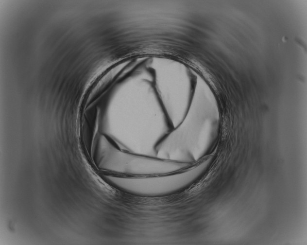 X0000091450795200709131714