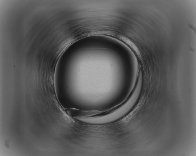 X0000091450809200709131714