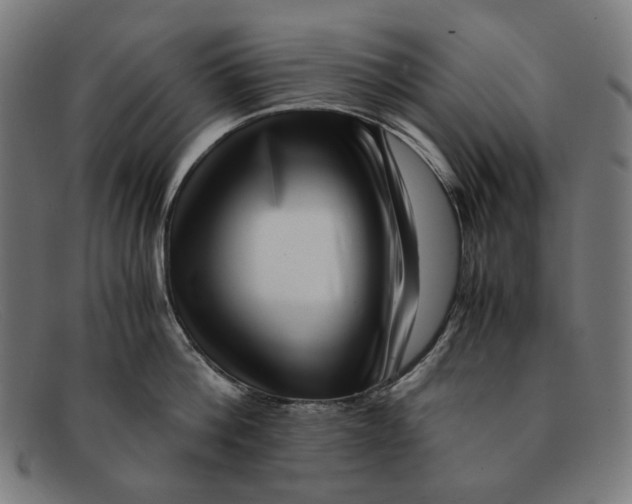 X0000091450812200709131714