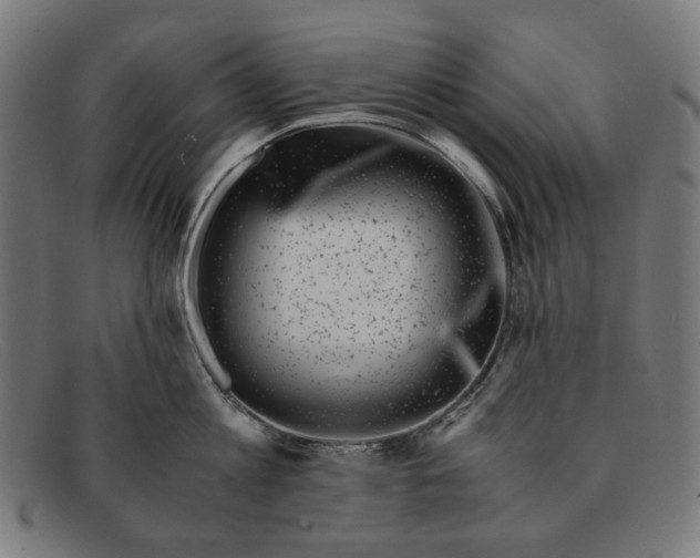 X0000091450813200709131714