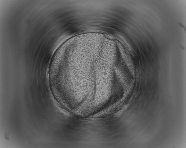 X0000091450814200709131714