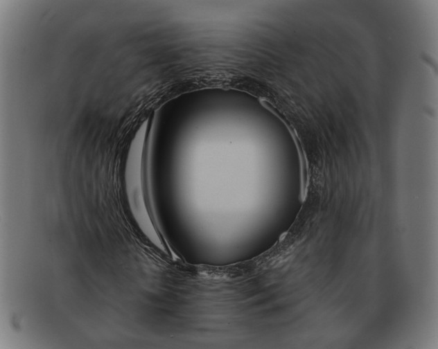 X0000091450818200709131713