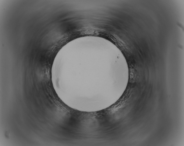 X0000091450820200709131713