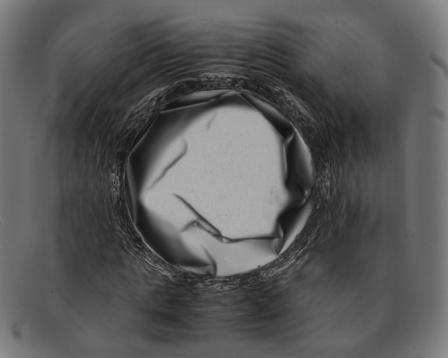 X0000091450821200709131713