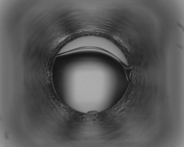X0000091450822200709131713