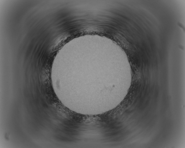 X0000091450824200709131713