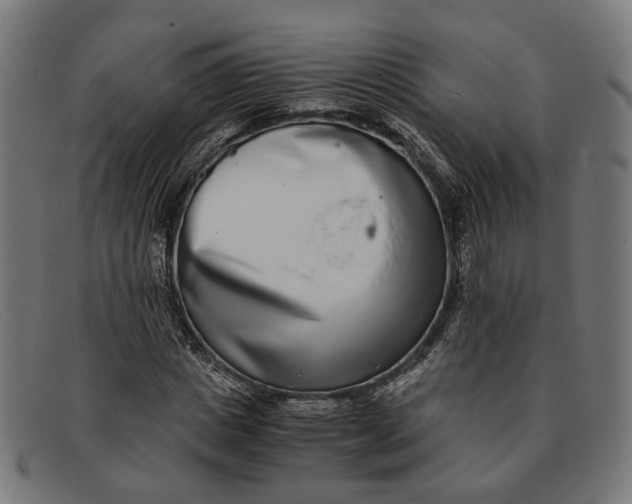 X0000091450825200709131713