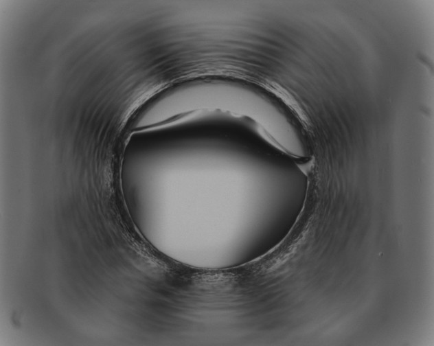 X0000091450826200709131713