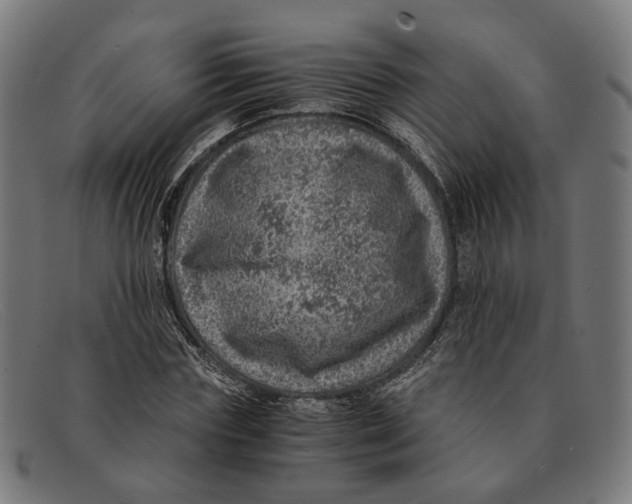 X0000091450827200709131713