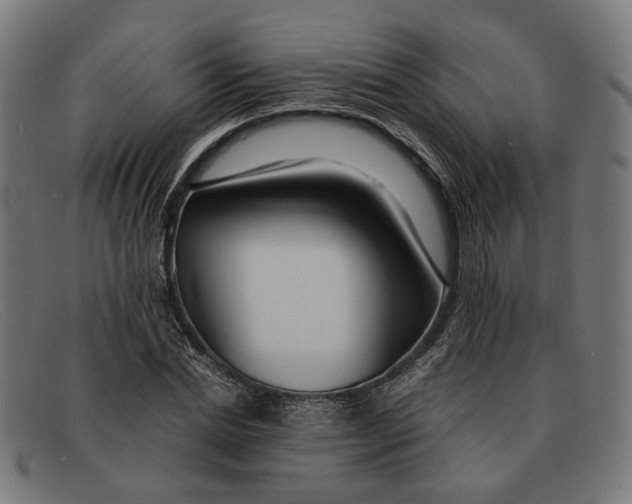X0000091450830200709131713