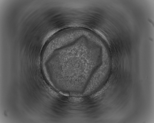 X0000091450831200709131714