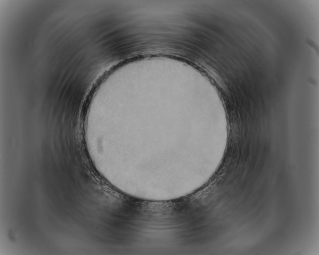 X0000091450832200709131714
