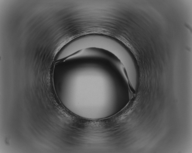 X0000091450834200709131714
