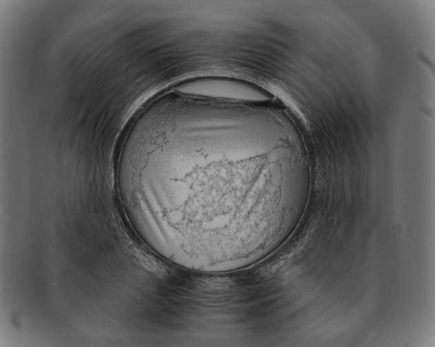 X0000091450837200709131714