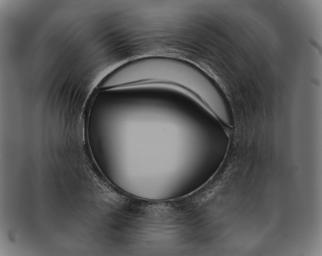 X0000091450838200709131714